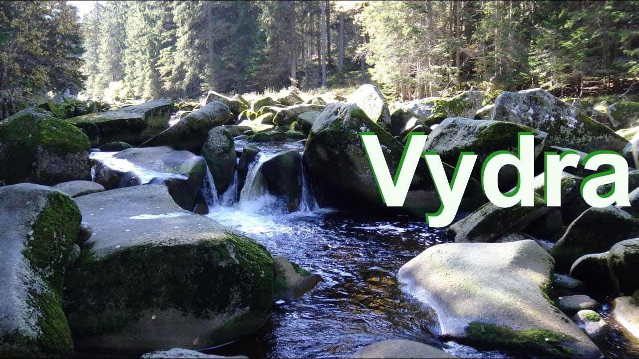 Povydří, nejnavštěvovanější oblast Šumavy   / in 4K