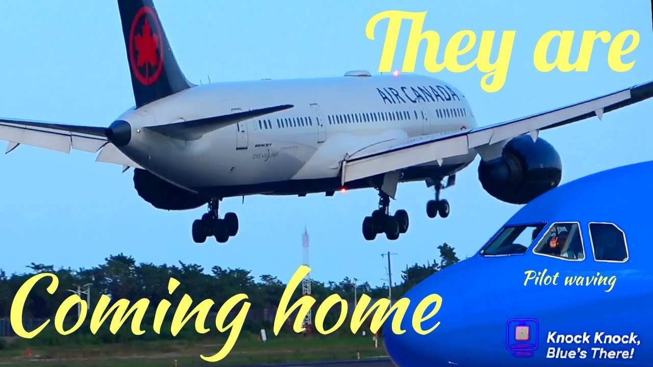 Jamaica is the spot 💥 Airplane Spotting Montego Bay Jamaica video 684