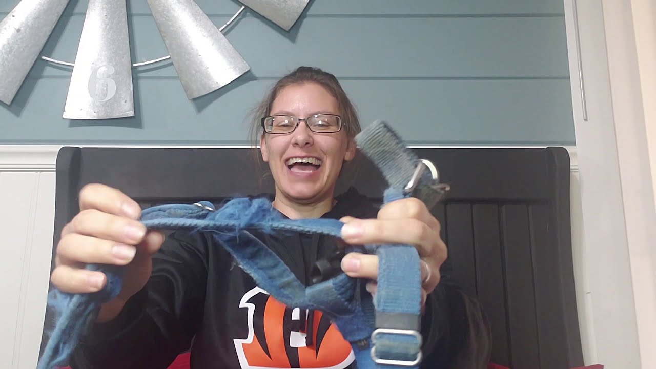 2 Hounds Design Harness Review