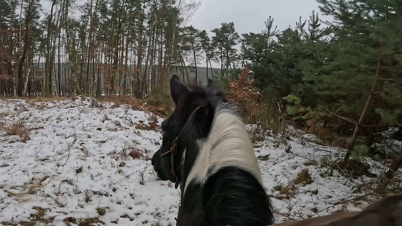 Vyjížďka na ledu ~ Black