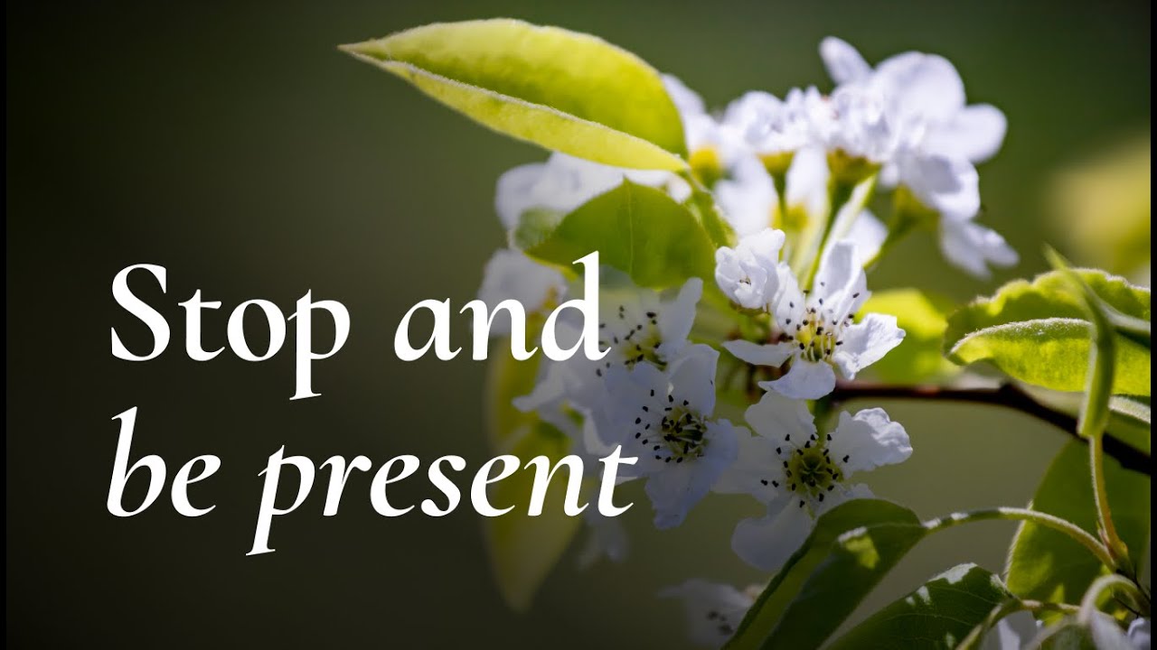 Taking Care of Emotions with Mindfulness | Sister Phuong Nghiem (Sr. Phoenix)