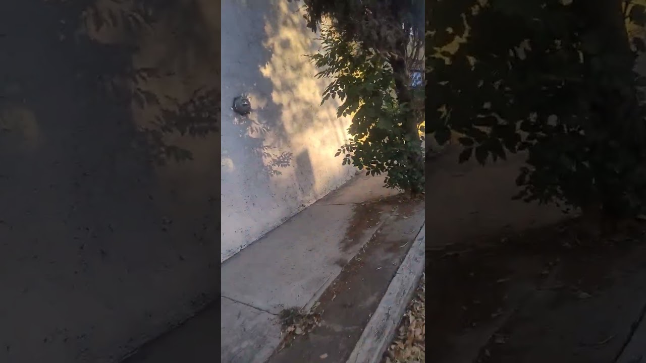 Llegando a mi trabajo 