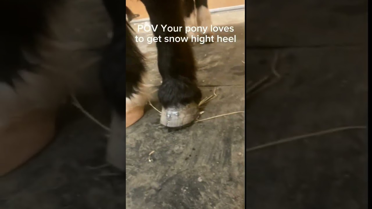 Stormy loves to have snow high heels. 