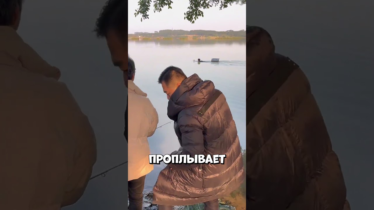 Это путешествие стоило ему волос #shorts