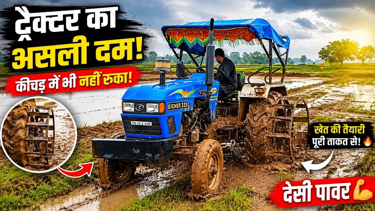Eicher 380🔥 Paddy Field King 👑 | Desi Farming Power💪#Eicher380 #TractorLovers #DesiFarming