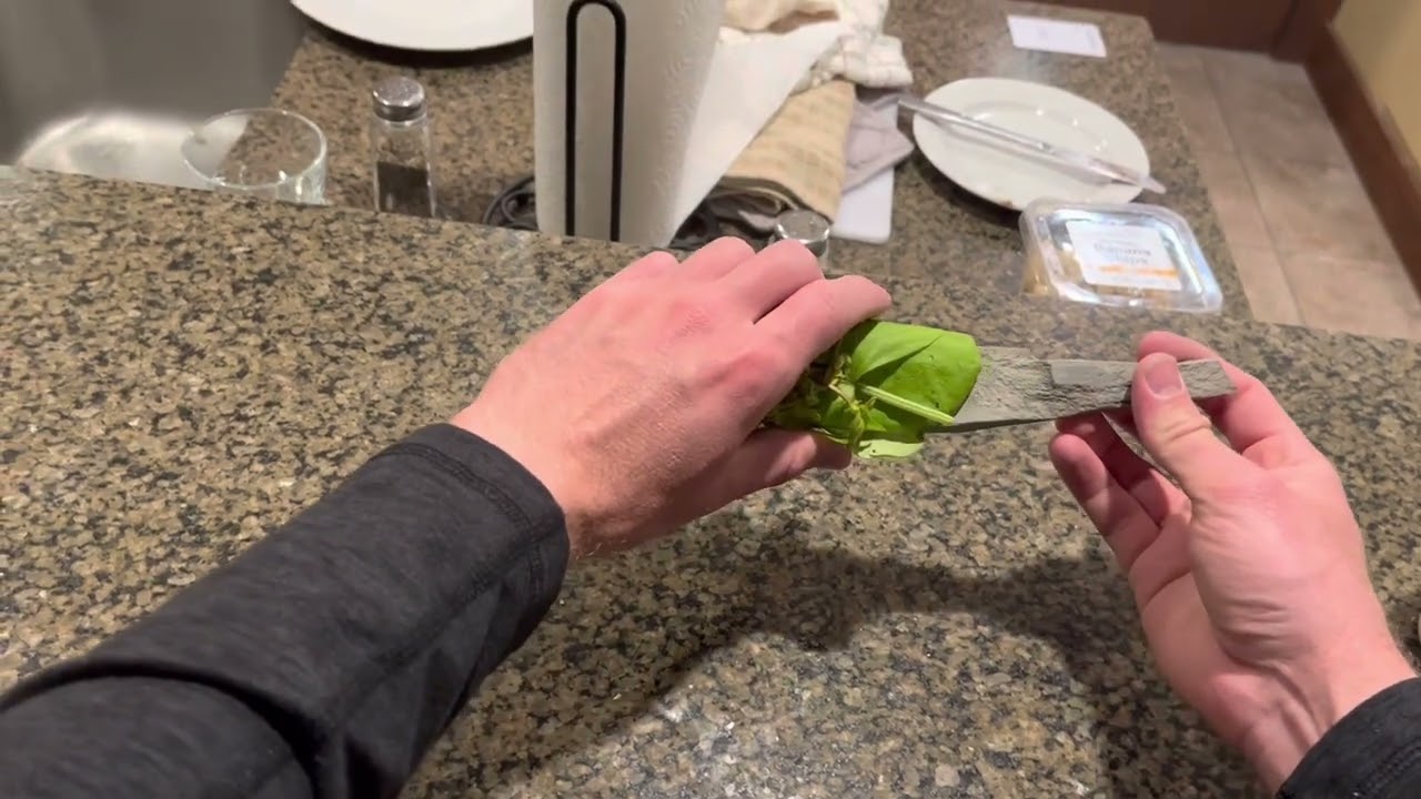Leaf Sheath Stone Knife