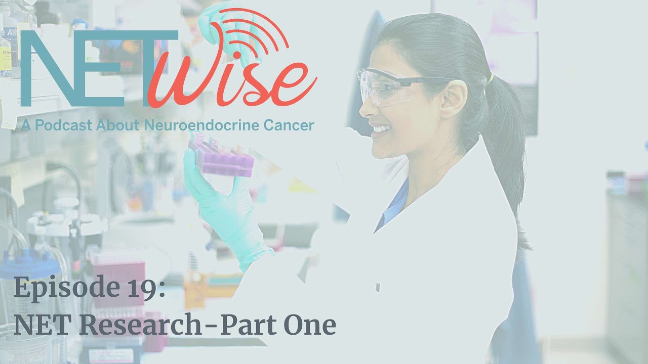 NETWise Episode 19: NET Research Part 1