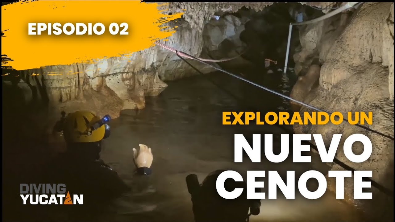 Explorando un nuevo cenote - Diving Yucatan: The Reality Show