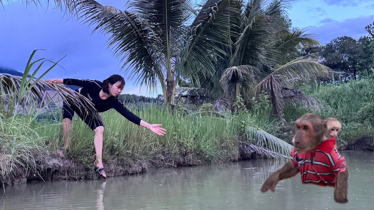 Abu&rsquo;s Last Minute Rescue of the Baby Monkey Brings Mom to Tears