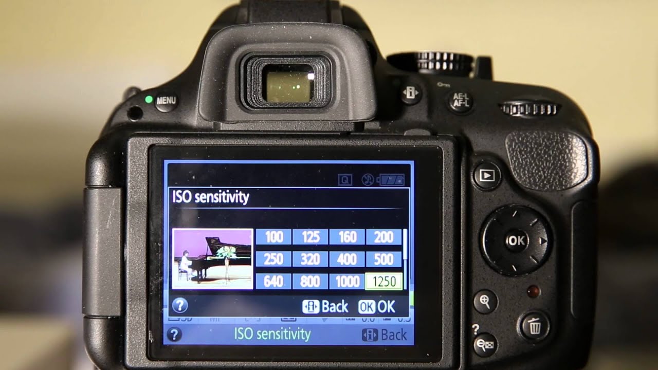 Руководство пользователя D5200 — Информационный экран
