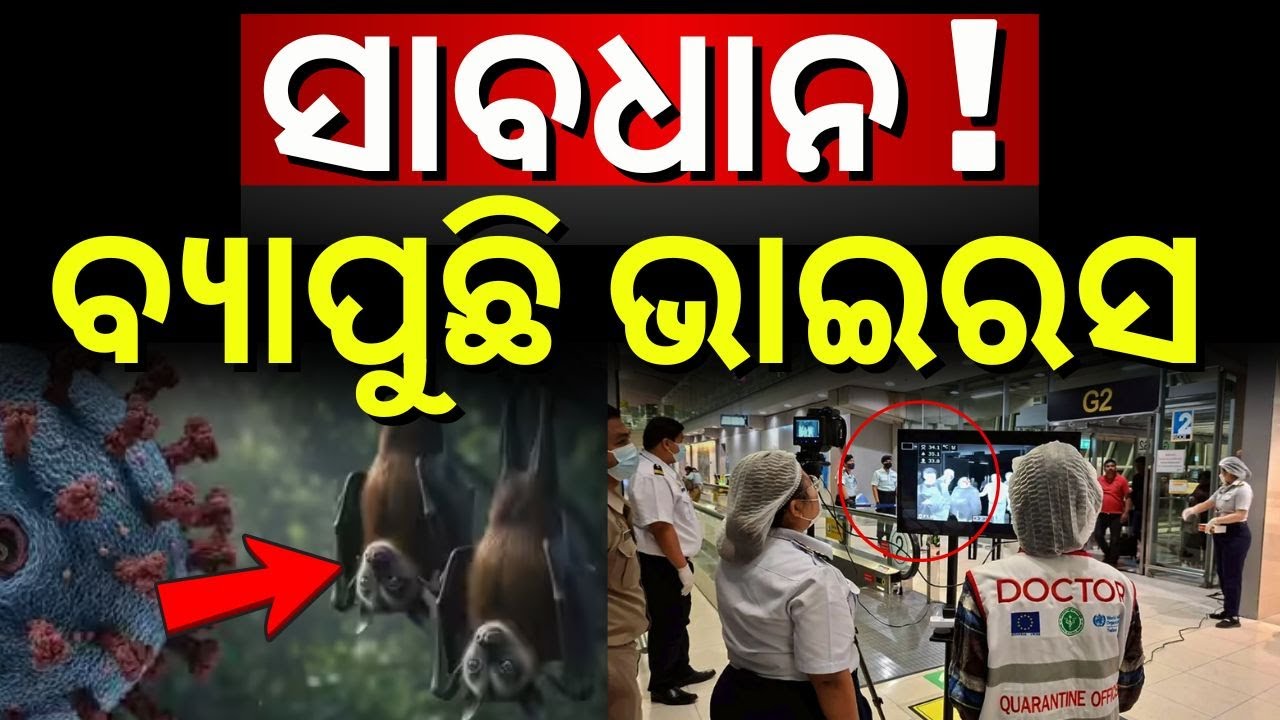 ସାବଧାନ ! ବ୍ୟାପୁଛି ଭୟଙ୍କର ଭାଇରସ | Nipah Virus Alert: Is the UAE at Risk After India’s Outbreak ? N18V