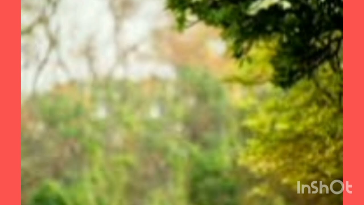 How organisms produce on Earth ( पृथ्वी पर जीवन की उत्पत्ति कैसे हुई )