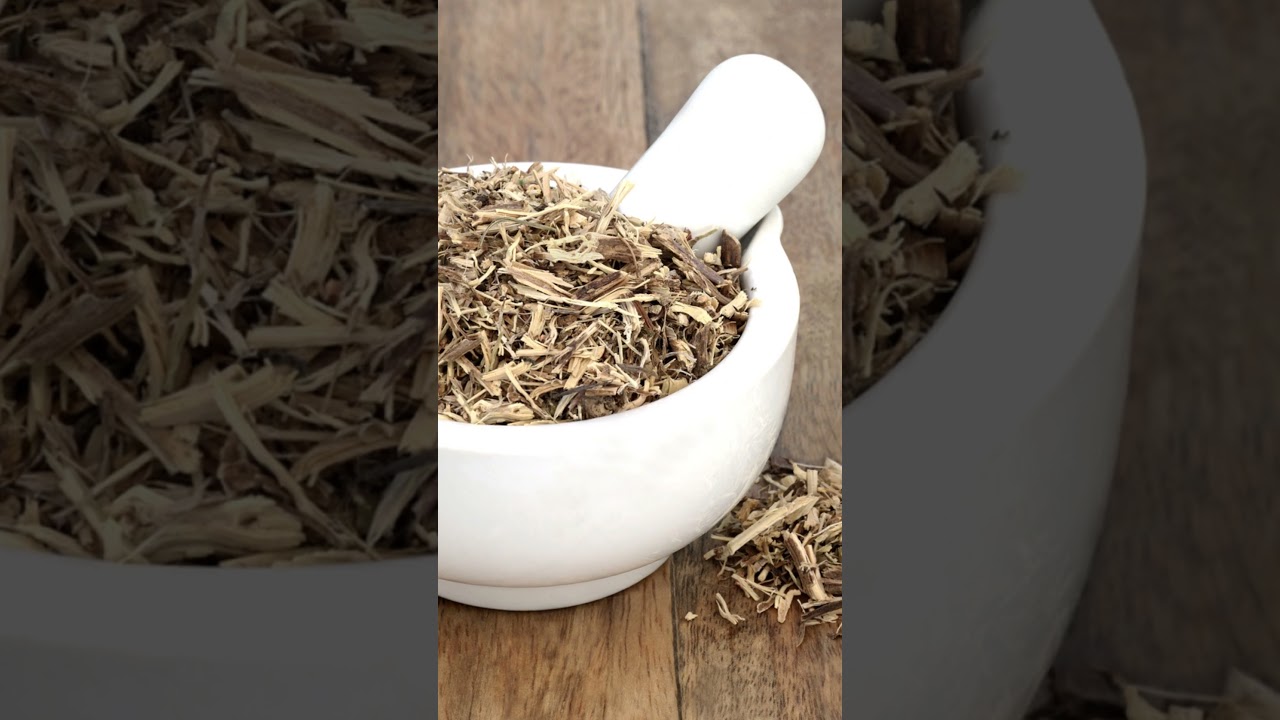 Teasel root! The benefits are amazing! #lymedisease #roots #herbalist #alternativemedicine