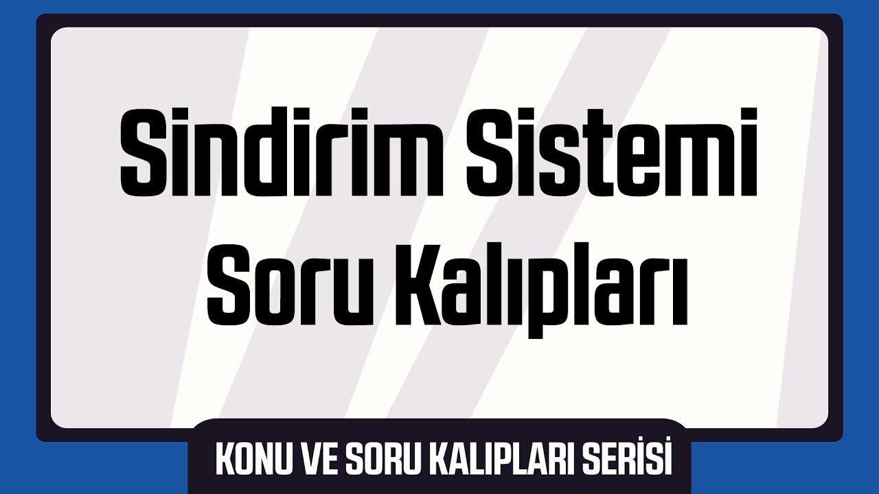 Sindirim Sistemi Soru Kalıpları
