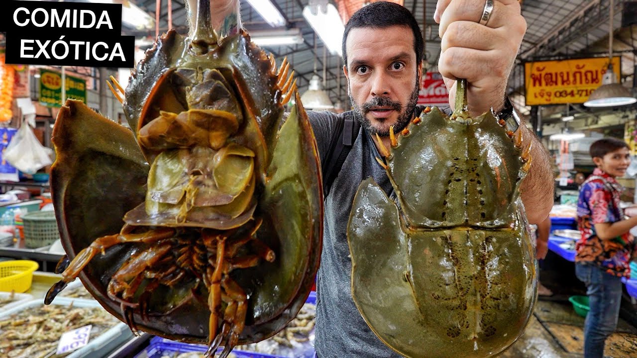 Comendo nos MERCADOS mais EXÓTICOS da Tailândia!! 🇹🇭