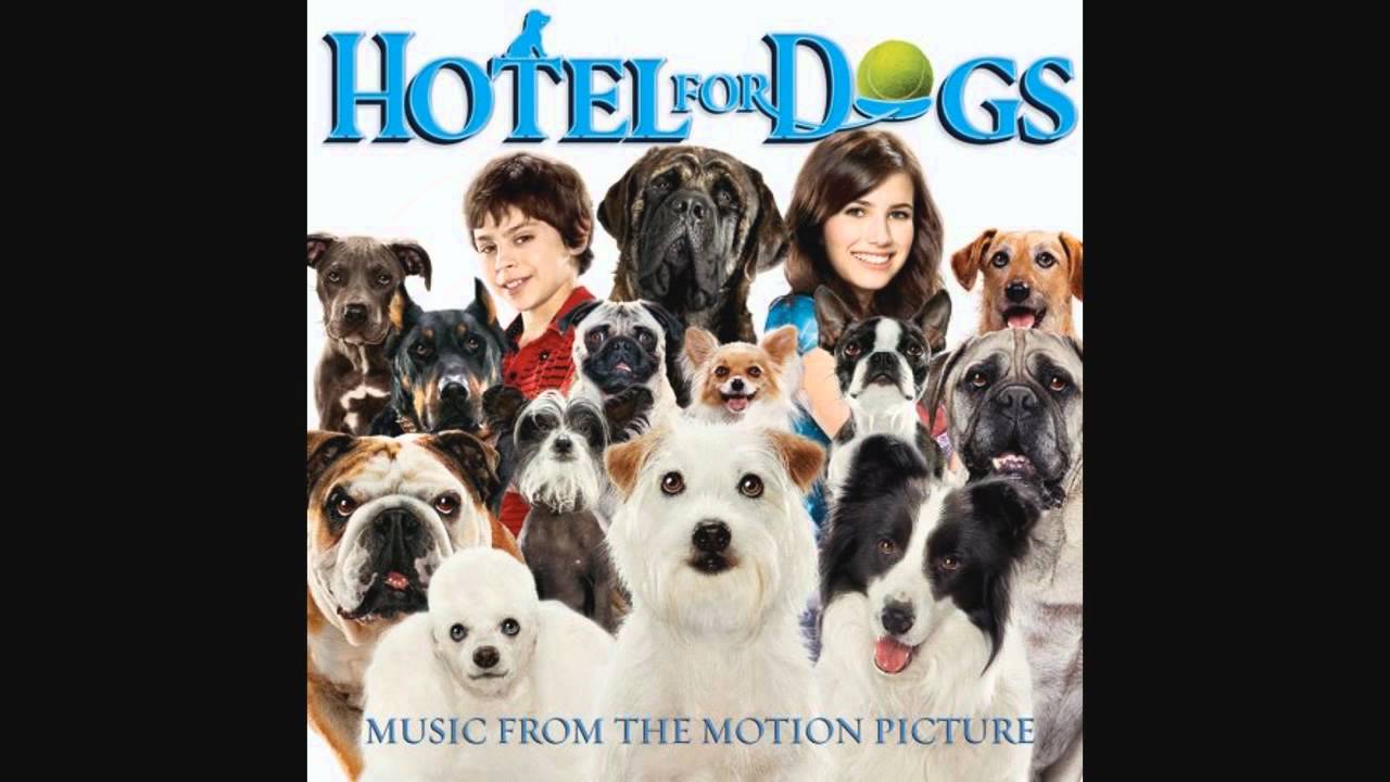 My New Best Friend - Hotel For Dogs