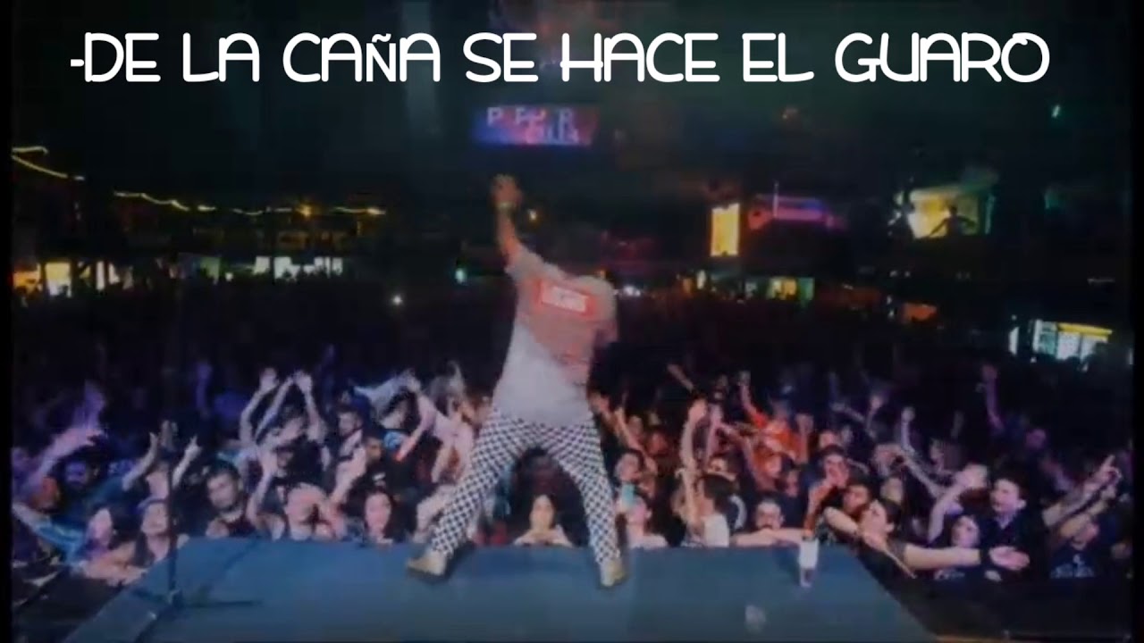 EL GUATO - FINCAFEST 2020, HIGHLIGHTS.