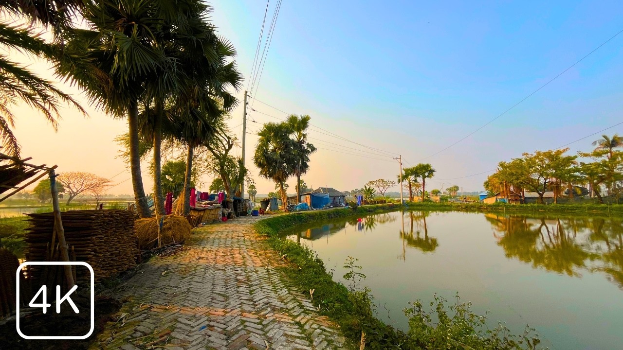 Peaceful Village Life in Bangladesh | Rural Nature Walking Tour 4K | Village Vista