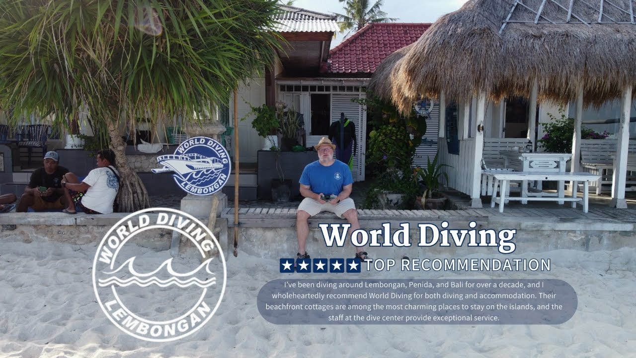 The Ultimate Lembongan Dive Center Experience #scubadiving #bali #balidiving #lembongan #penida