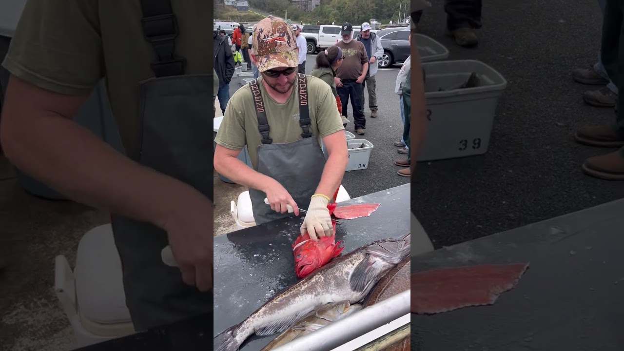 Филетирование рыбы без отходов! #филе #рыба #орегон #морскаявода #тихийокеан #морскойокунь #разде...