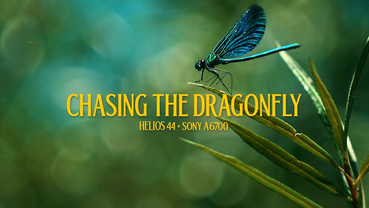 Helios 44 + Sony Alpha 6700 cinematic video storytelling