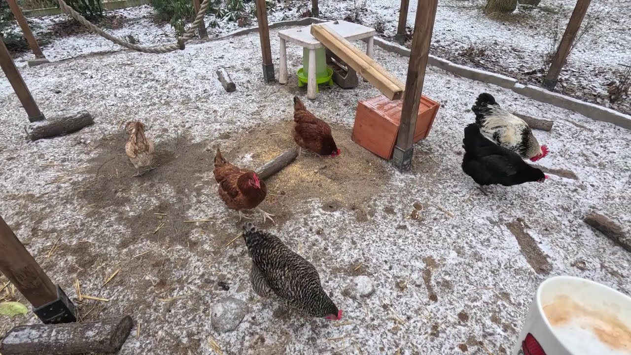 Wyjeżdżam. Będą tęsknić? 