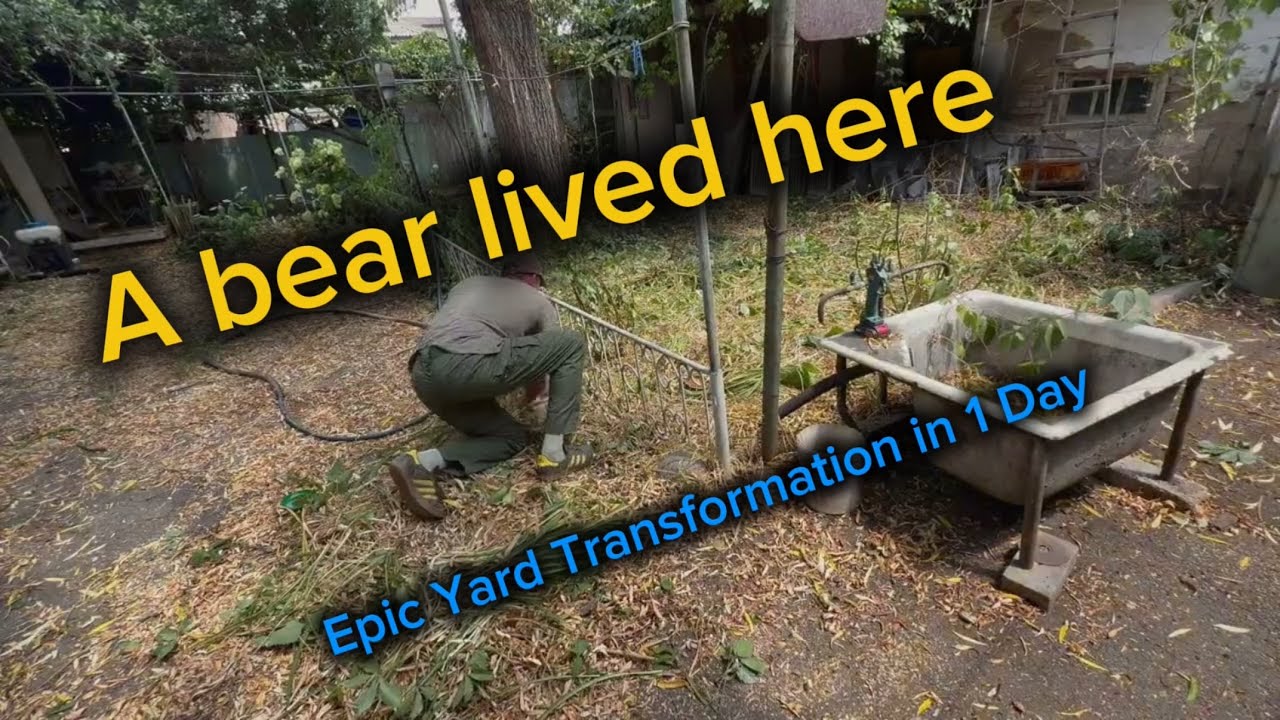 BBQ is Over: We Took Back the Bear’s Backyard!