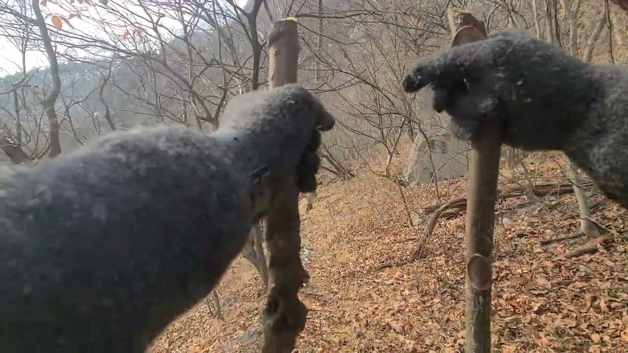 추월산산행&나는귀족이다