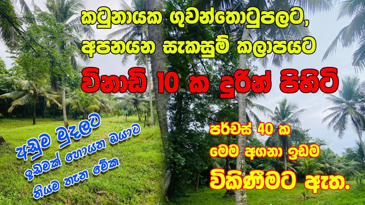 Land sale in Sri Lanka | Land sale in Gampaha District | Land Sale in Katunayake