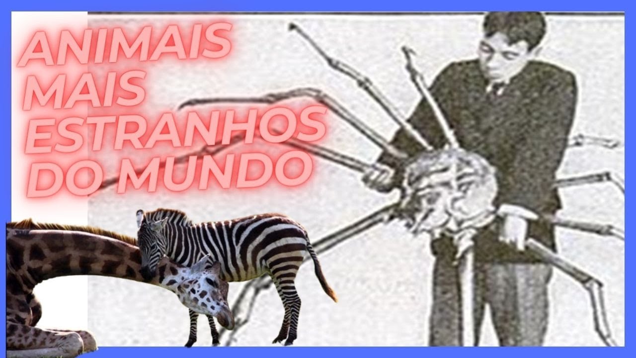 Os Animais Mais Estranhos Do Mundo (CURIOSIDADES)