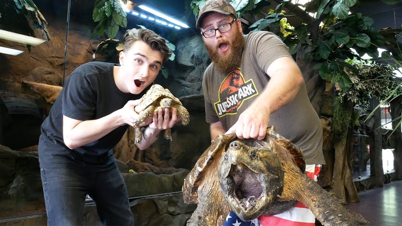 Letting My PARENTS DECIDE What REPTILES We HANDLE!!