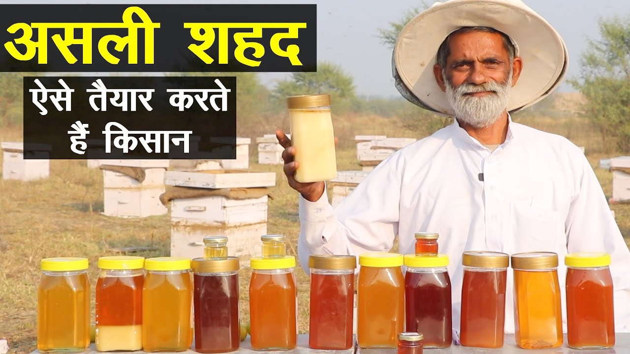 सबसे शुद्ध शहद ऐसा होता है, किसान से जानिए सच || आंखें खुल जाएंगी || Technical Farming ||