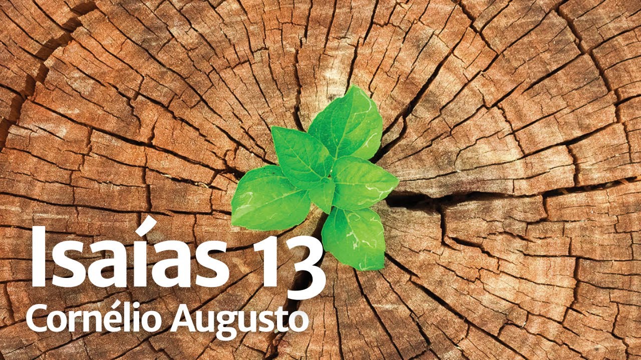 Bíblia Falada | Isaías 13
