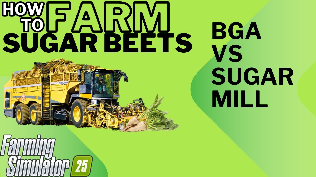 Sugar Beets Guide: Is The BGA Worth It?