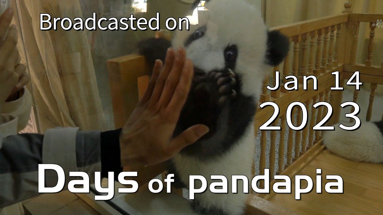 20230114 Broadcast Top Highlights 03