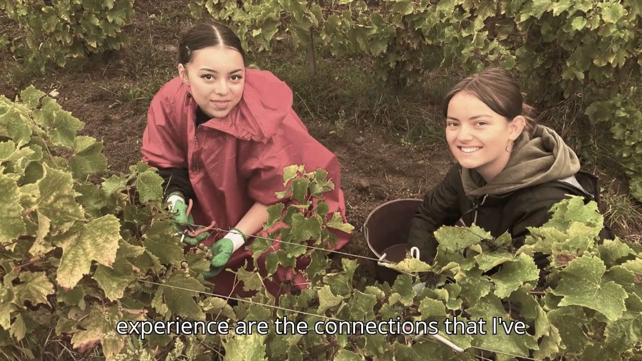 Why take a Gap Year with Andégo?