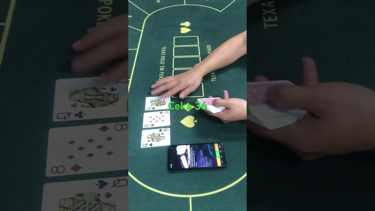 Ceka36 Телефон для мошенничества игры сека #техасскийхолдем #poker #покер #карточныеигры #ceka