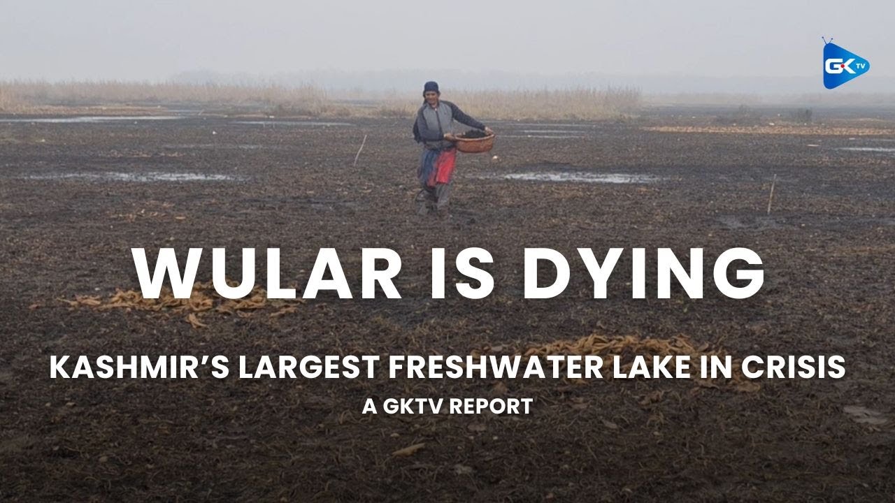 Wular, Kashmir's largest freshwater lake, a source of livelihood for thousands, is  dying