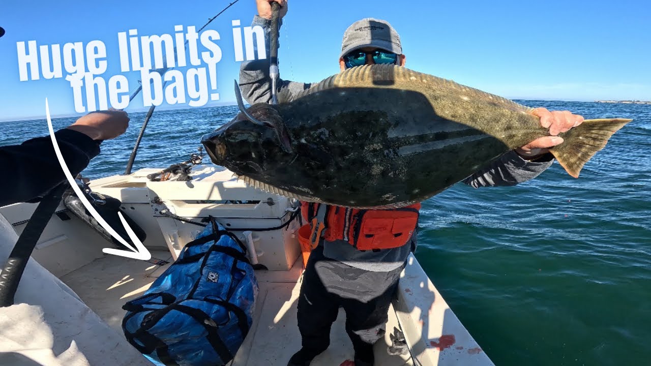 Catching a ton of fish for my new home! #foryou #love #shorts #viralvideo #like #ytshorts #reels