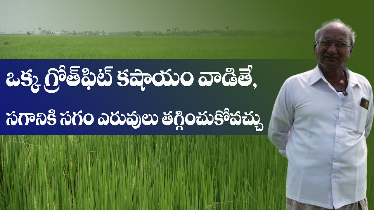 E 144 | ఈ కషాయం వాడితే, ఎరువులు వాడాల్సిన అవసరం లేదు|Best yield with Growth promoter| 833 1800 100