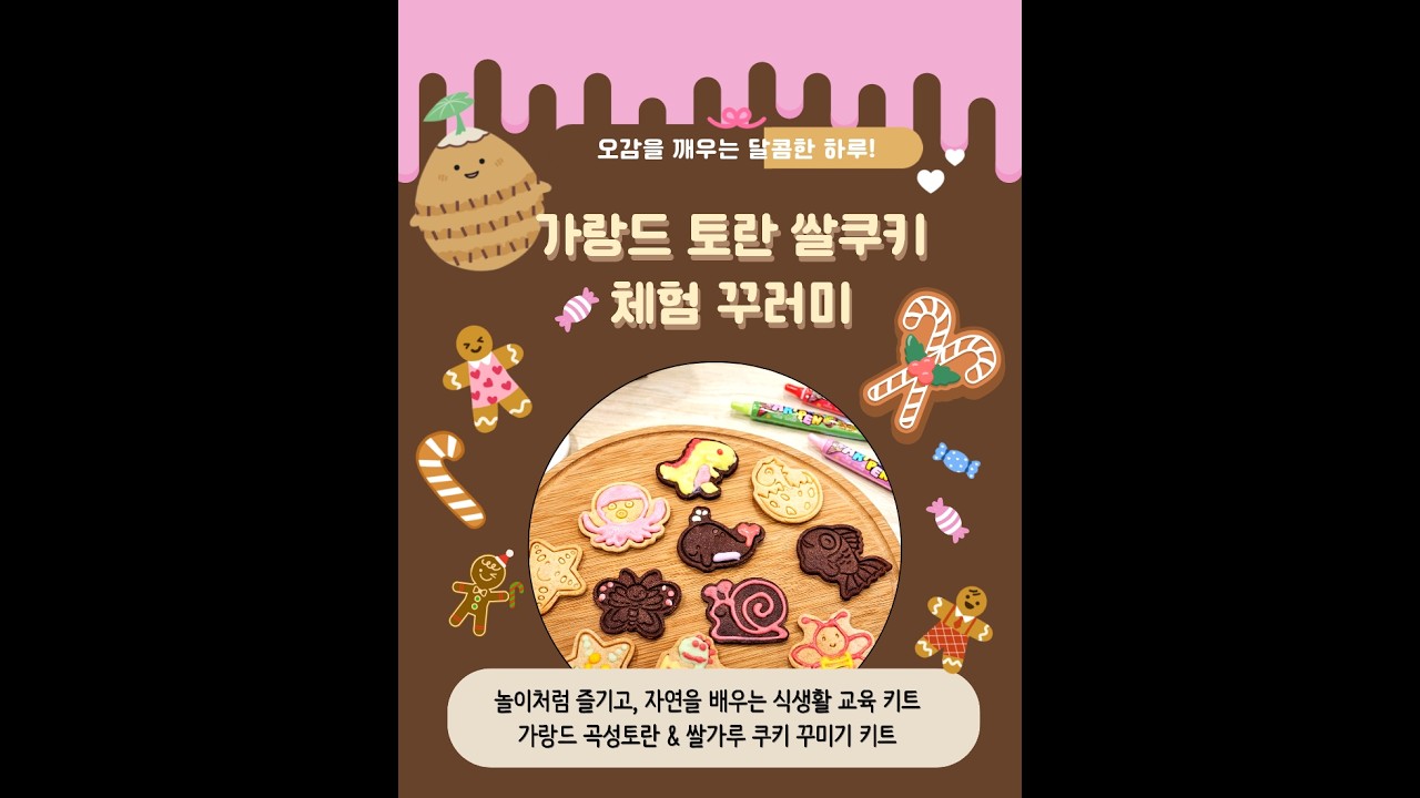 📦체험활동 꾸러미📦가랑드 쌀 토란 쿠키곤충,바다생물,공룡꾸러미 - 수상한영농조합법인