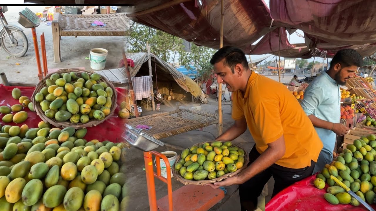 Selling Mangoes in 1 Rupee Only 😀