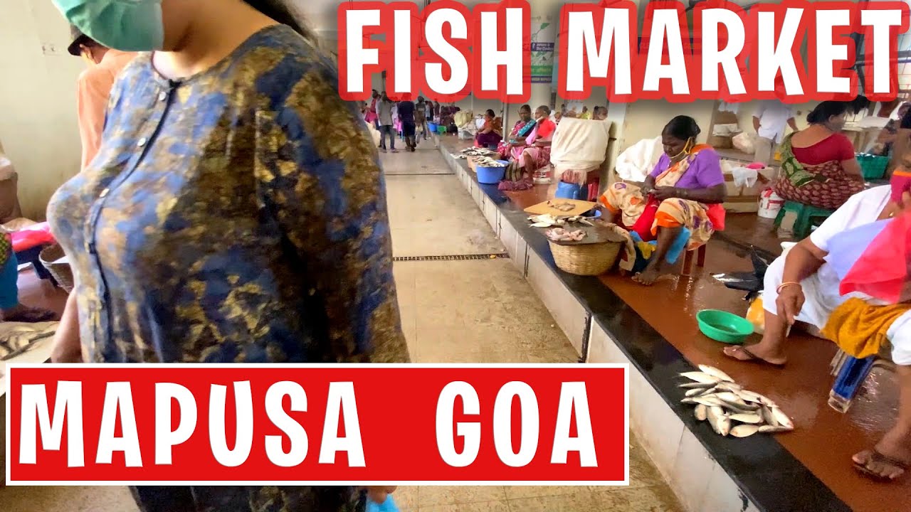 Goa Fish Market | Mapusa fish market | cheapest fish market in India | Trip Vibes
