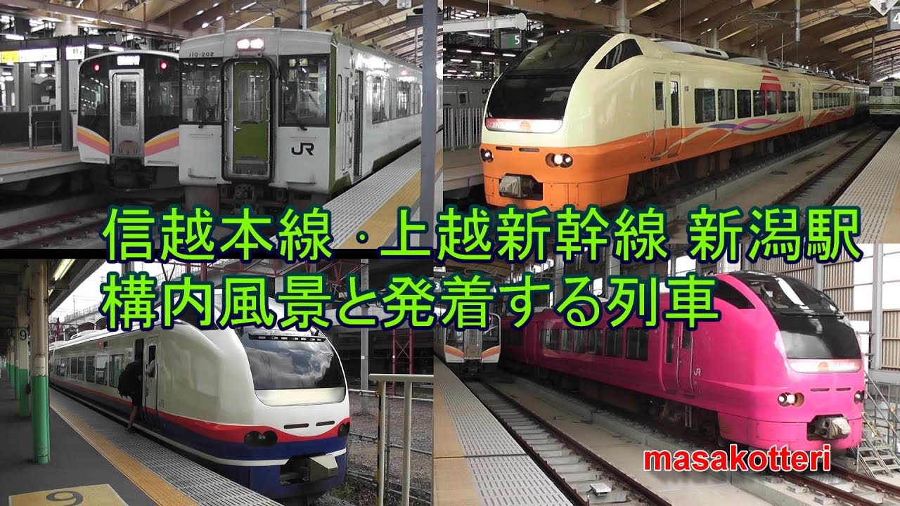 信越本線 ･上越新幹線 新潟駅の構内風景と発着する電車（E129系、キハ110、115系、E653系、新幹線E2系、E3系現美新幹線、E4系）2018.8.26撮影