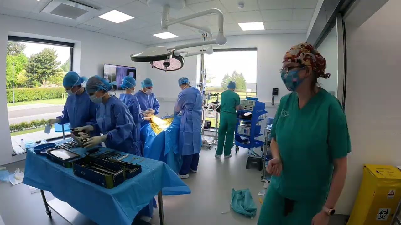 Hip Replacement Veterinary at Veterinary Specialists Ireland