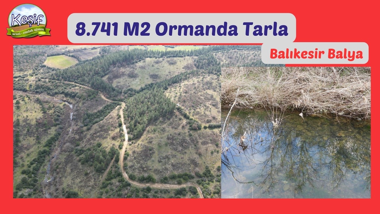 8.741 M2 Orman İçinde Düz Tarla. Balıkesir Balya da 630.000 TL