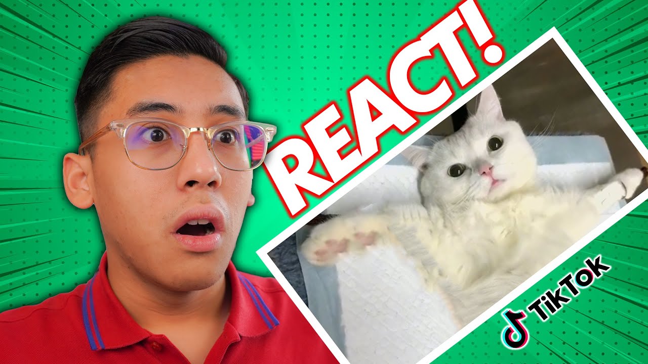 (REACT) TAK SANGKA DIA BUAT MACAM TU!