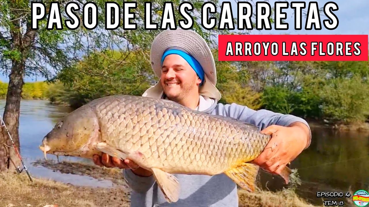 TENES QUE VENIR a este lugar! mucha pesca variada sobre el arroyo las flores, saladillo MJ-PESCA