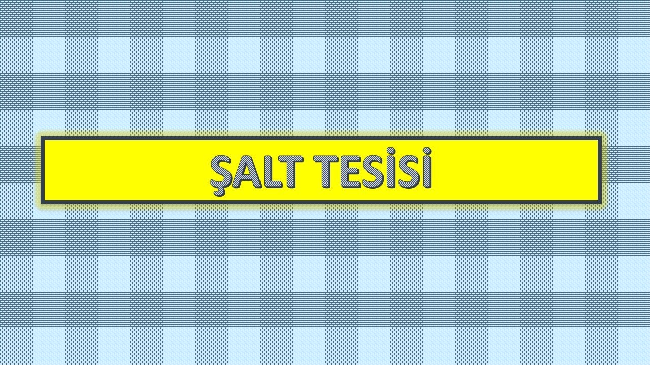 Şalt Tesisi (Sahası)