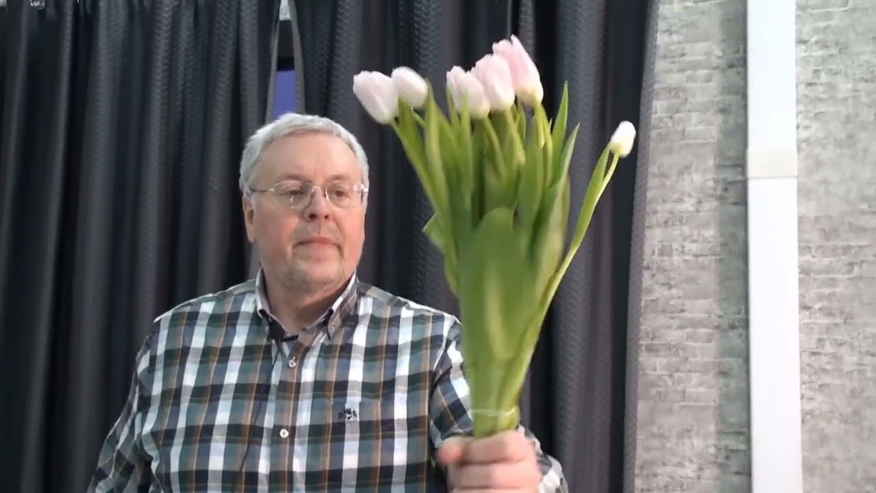 Длительное хранение тюльпанов.